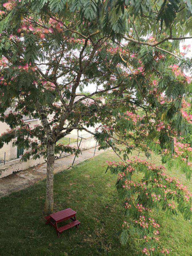 L 'albizia *
